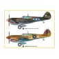 1:48 P-40M Kitty Hawk Fighter