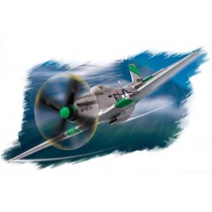 1:72 P-51D "Mustang"