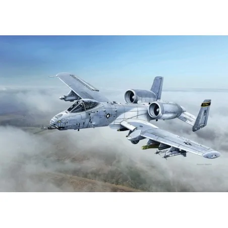 A - 10C ''Blacksnackes''