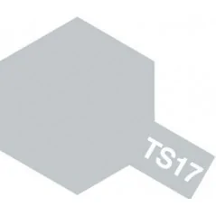 TS-17 Aluminio Brillante SPRAY 100ml