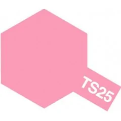 TS-25 Pink Gloss SPRAY 100ml