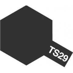 TS-29 Negro satinado Spray 100ml.
