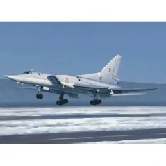Tu-22M3 Backfire C Strategic bomber