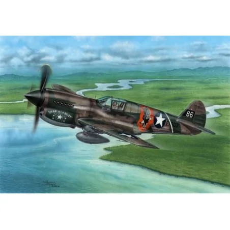 P-40E WARHAWK CLAWS AND TEETH