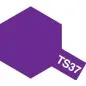 TS-37 Lavender Spray Gloss