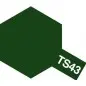 TS-43 Racing Green Spray Gloss