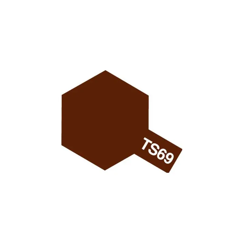 TS-69 Linoleum Dark Brown Spray Matt