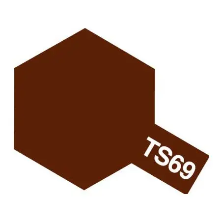 TS-69 Linoleum Dark Brown Spray Matt