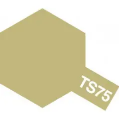TS-75 Champagne Gold Spray Gloss