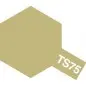 TS-75 Champagne Gold Spray Gloss