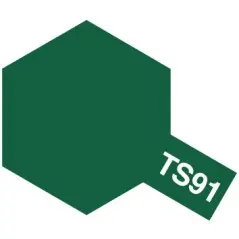 TS-91 Dark Green (JGSDF) Spray Matt